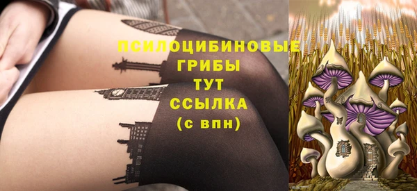 твердый Алзамай